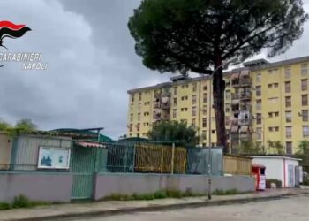 Arzano, si pente il boss Pasquale Cristiano: trema la 167