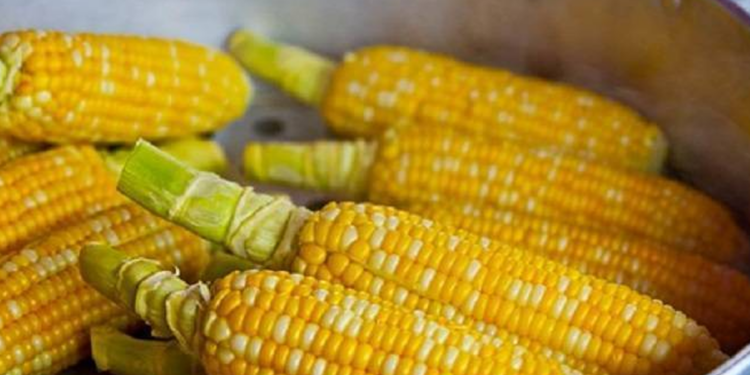 Venditori di Spighe Napoli