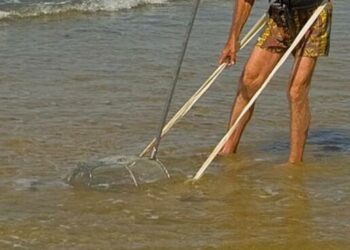 Varcaturo, raccoglievano telline: multati due uomini