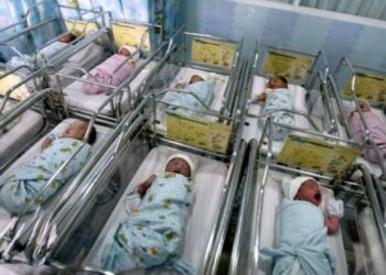 Puglia Neonati Sbagliati