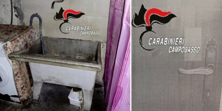 Segregata e ridotta in schiavitù dal fratello per 22 anni: finalmente libera