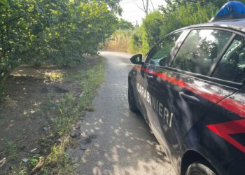 Calvizzano Giugliano