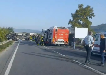 Linda Cecconi Arezzo