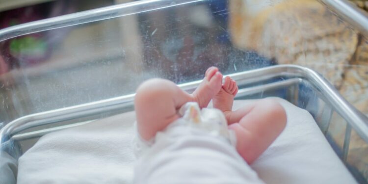 Neonato