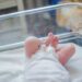 Neonato
