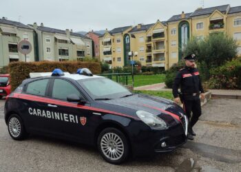 Uccide a coltellate il padre dopo una lite: arrestato un 24enne.