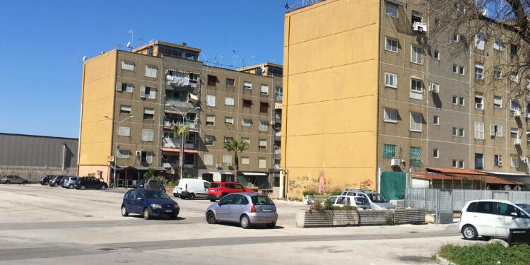 Blitz a Brusciano e Acerra: sequestrate armi, bombe carta e droga. Pitbull facevano da guardia