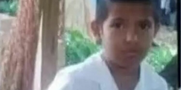 Bambino di 8 anni ucciso da un coccodrillo: i genitori hanno visto il figlio scomparire davanti ai loro occhi