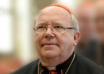 Pedofilia in chiesa: 11 vescovi sotto inchiesta per abusi sessuali su minori