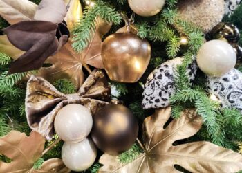 Napoli, picchiano un fioraio di 60 anni per rubare un albero di Natale: presi 6 minori e un 22enne