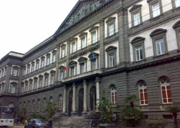 Università Federico II