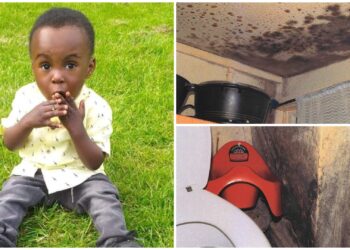 Muffa sulle pareti di casa: bimbo di 2 anni muore a causa delle esalazioni tossiche