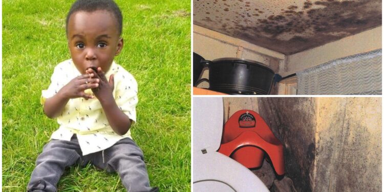 Muffa sulle pareti di casa: bimbo di 2 anni muore a causa delle esalazioni tossiche