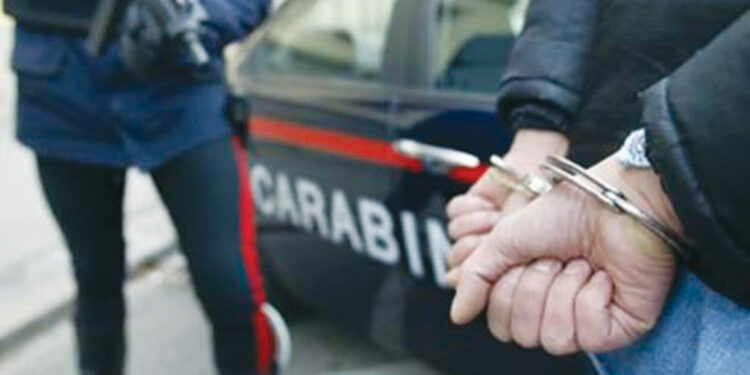 Uccide la madre poi tenta di sbarazzarsi del corpo: arrestato il figlio