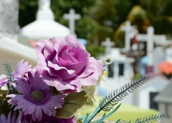 Undicenne percorre 35km per mettere un fiore sulla tomba della bisnonna