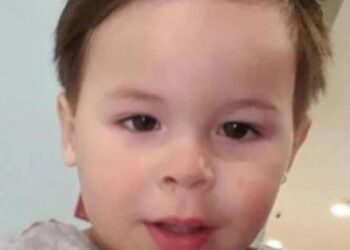 Bambino di due anni ucciso da un cane: la tragedia si è consumata di fronte alla madre