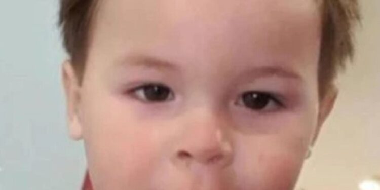 Bambino di due anni ucciso da un cane: la tragedia si è consumata di fronte alla madre