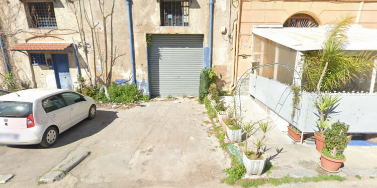 Uccide un gatto e lo mangio, denunciato