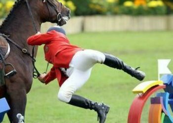 Donna Cade da Cavallo (Repertorio)