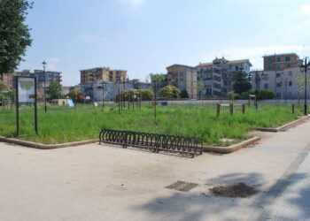 Spunta da un cespuglio e viene investito: morto un uomo