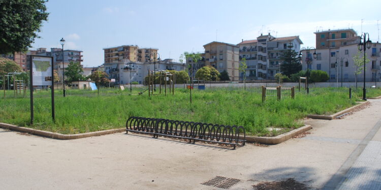 Spunta da un cespuglio e viene investito: morto un uomo