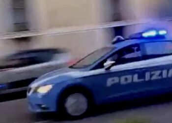 Polizia Cosenza Reggio Calabria