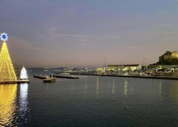 baia albero di Natale nel porto