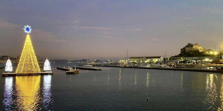 baia albero di Natale nel porto