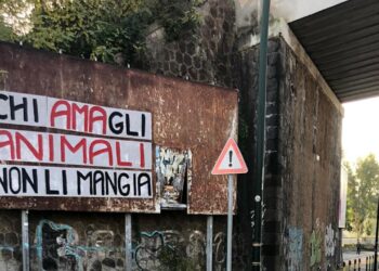 Compare un cartello a Fuorigrotta: “Chi ama gli animali non li mangia”