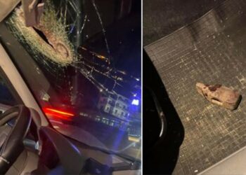 asse-mediano-martello