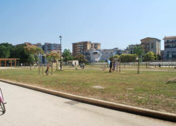 Si abbassa i pantaloni in un parco pubblico