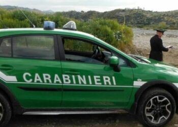 Forestale indaga su una fabbrica di dolciumi