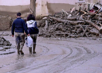 casamiciola, fenomeno sciacalli