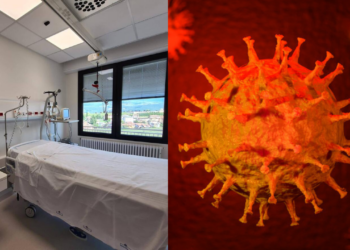 Coronavirus: assurda storia