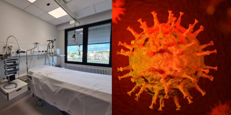 Coronavirus: assurda storia