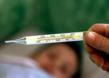 febbra australiana in italia