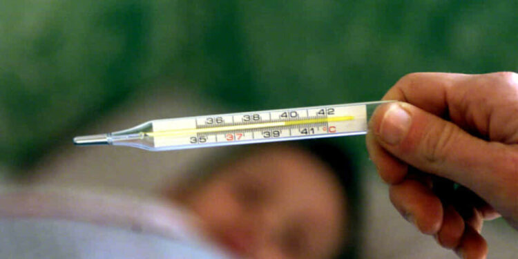 febbra australiana in italia