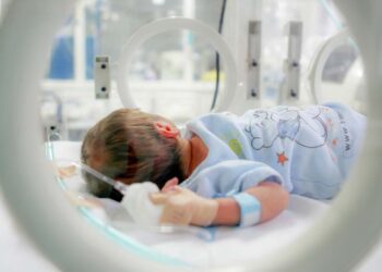 neonata in coma palermo