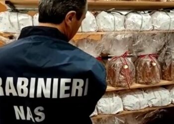 controlli-nas-panettoni