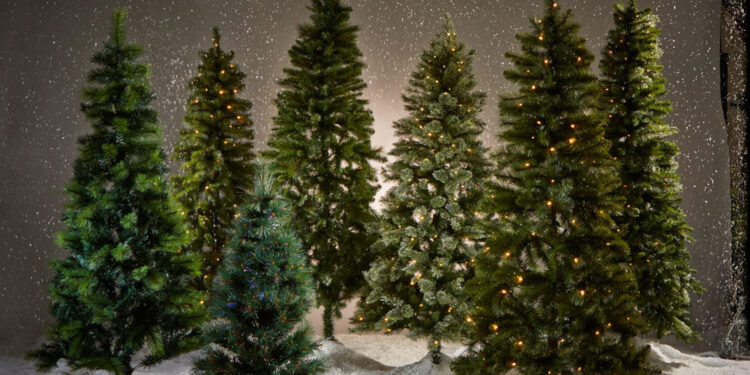 I ladri non si fermano neanche a Natale: rubati i pini natalizi in una delle vie più frequentate a Napoli