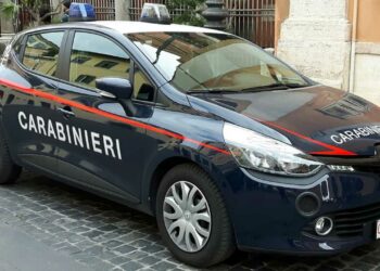 Una coppia confezionava panettoni di droga e li spacciava, beccati dai loro comportamenti sospetti