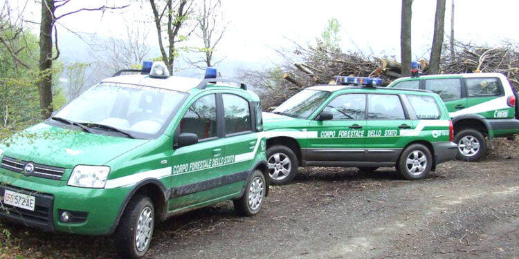 trovano 5 cani legati