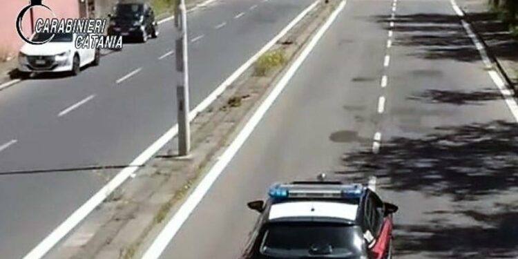 Evade dai domiciliari: dopo una lite, il folle gesto contro il cane degli zii