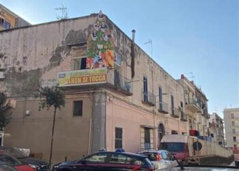 “Il Reddito di cittadinanza non si tocca”: 57enne denunciato per istallazione contro il governo