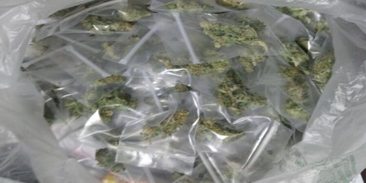 Ordina online pastori per il presepe: gli arrivano 10 kg di marijuana