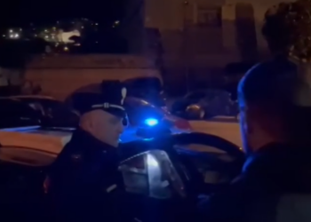 Massimiliano Sestito