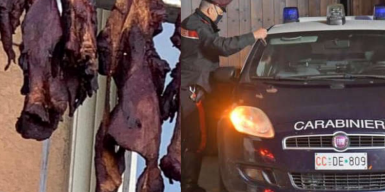 firenze carcasse di animali