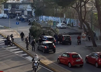 Napoli, vento devasta un albero nella via principale: una donna rimane ferita