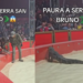 Coccodrillo tenta di fuggire dal circo: panico tra il pubblico (con video)