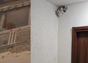 Anziano a Ponticelli maltrattato dalla moglie straniera: interviene il giornalista Pino Grazioli